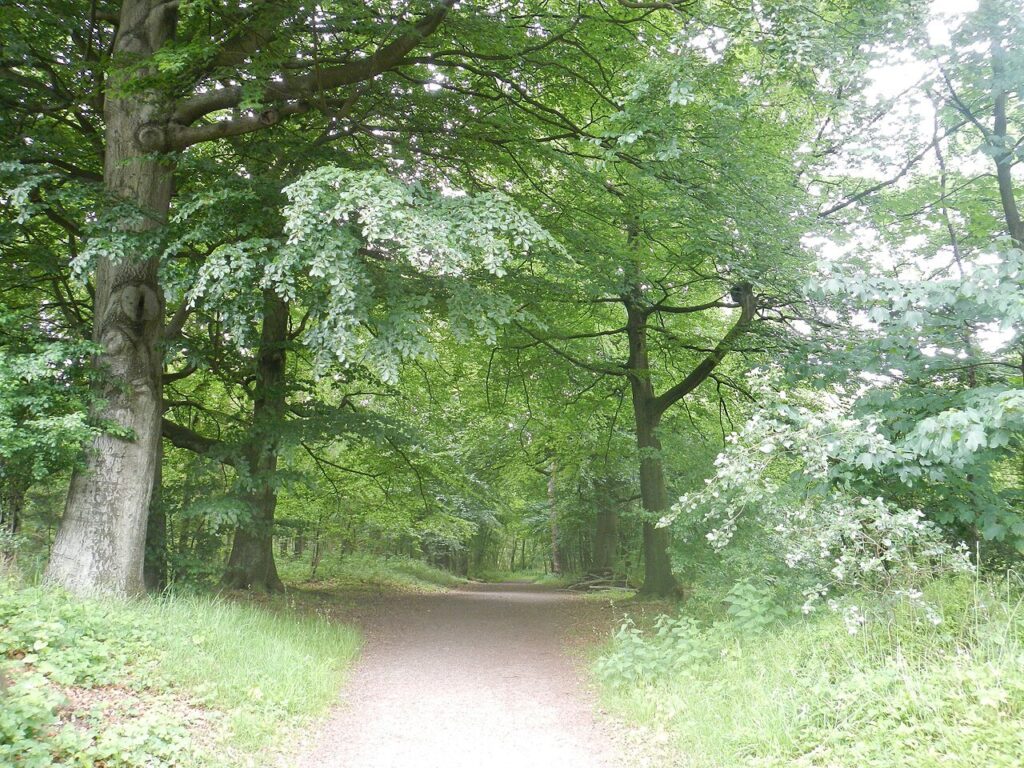 Het Oranjepad in Baarn