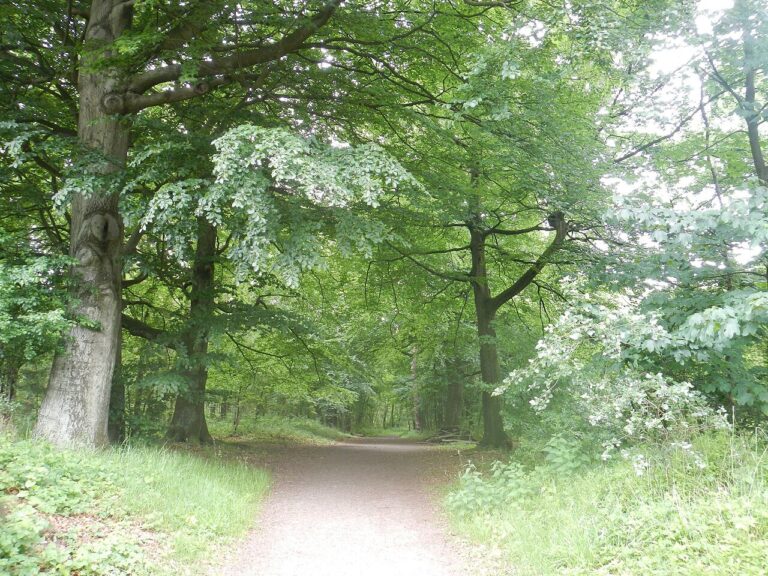 Het Oranjepad Paleis Soestdijk — Natuur in Baarn