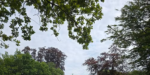 Brocante en Landelijk op Kasteel Groeneveld — Rommel- en vlooienmarkt in Baarn